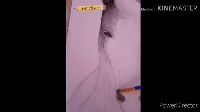 Рисунок лошади(Pencil art) смотреть онлайн
