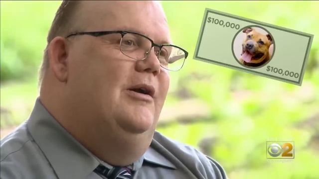 Tails Of Redemption: A Jail Sentence Saves Dogs With Days Left смотреть онлайн
