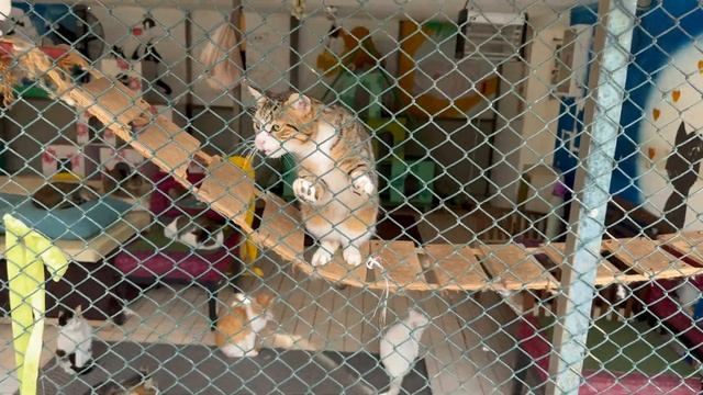 LARA BARUT COLLECTION🇹🇷/ ALLIN 1 HOUR / ВЕСЬ ОТЕЛЬ ЗА 1 ЧАС / зимняя концепция