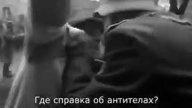 Минута видео "Без слов" смотреть онлайн