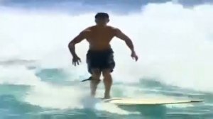 Новика 👉 BBC 10 самых опасных акул  Документальный  фильм🙏