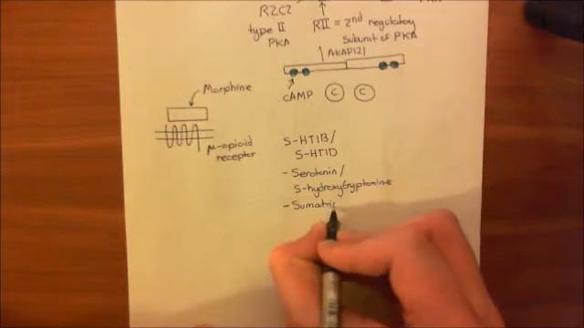 The Gi Pathway Part 4 смотреть онлайн