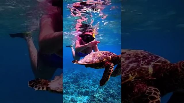 Сын Яны Рудковской подыскал себе заграничную невесту