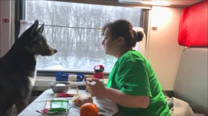 36 часов в купе ВДВОЁМ с собакой 🚂 Едем НА ПОЕЗДЕ в Геленджик!