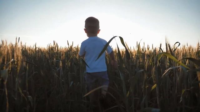 Dear Theodosia- Fun Song Friday - 9-24-20 смотреть онлайн