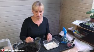 Посев семян перца на рассаду. Когда и как я это делаю.