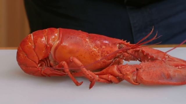 The Kitchen Tools You Need if You Love Cooking Seafood at Home смотреть онлайн