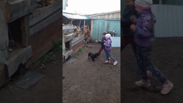 Вохр против нас с Аней смотреть онлайн