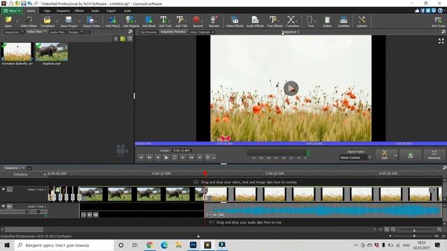 How To Remove The Black Borders In Video | VideoPad Tutorials | Vedeo Effects