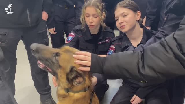 Мы выбираем ЖИЗНЬ смотреть онлайн