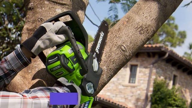 Best Chainsaw under $200: Your Comprehensive Guide (Our Preferred Selections) смотреть онлайн