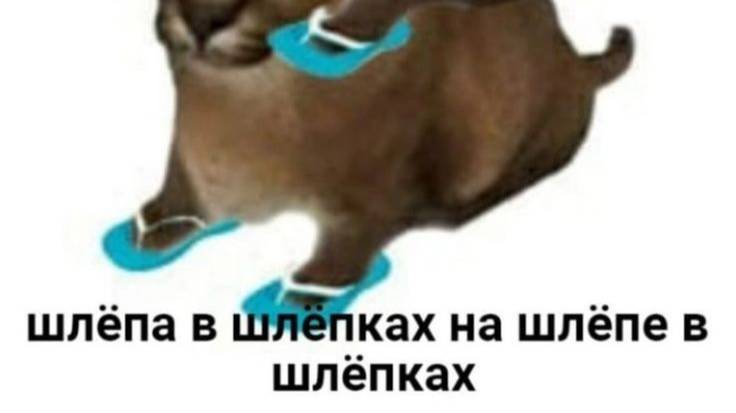 ВОВА ГЕЙМЕР