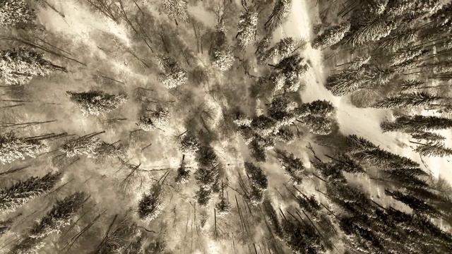 Peren Nera - Perennial Transylvania смотреть онлайн