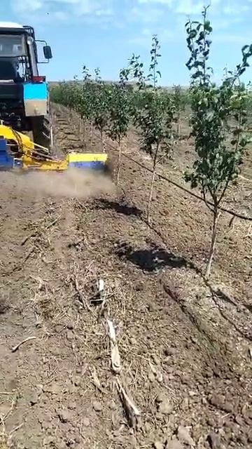 Фреза для приствольной полосы смотреть онлайн