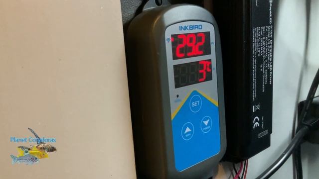 inkbird 306t WIFI heater controller for aquarium tropical fish смотреть онлайн