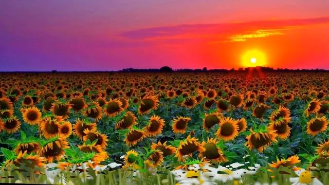 Гляжу в озера синие.... смотреть онлайн