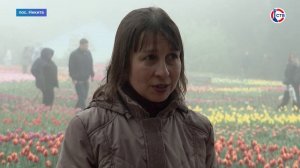 В Никитском ботаническом саду официально открылся «Парад тюльпанов 2025»