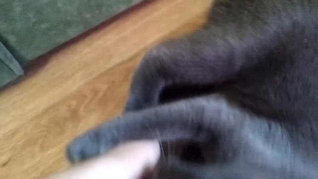 VLOG Шашлыки! 11.12.2019 смотреть онлайн