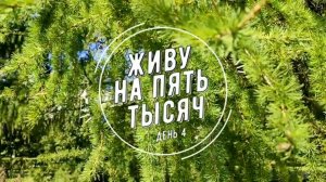 ПРОЖИТЬ НА 5 000 С ДВУМЯ ДЕТЬМИ ДЕНЬ 4