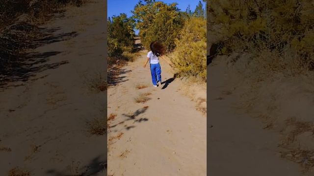 Leyli-Sha - Lälejan 2024