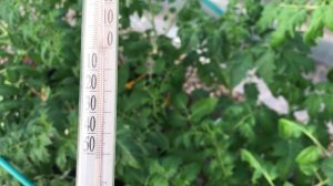 Парник с обогревом в теплице