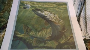 Рукодельная неделя с 3 по 9 мая. Продвижение по трем процессам.