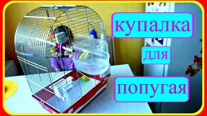 Купалка для попугая//Покупки из зоомагазина//Купалка для птиц