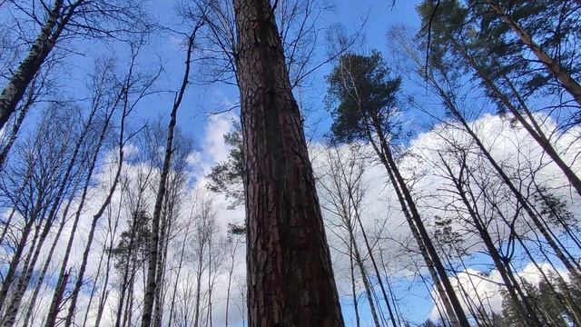 Результат зимней молнии смотреть онлайн