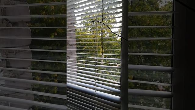 Глушат Русское радио в Казани №1 смотреть онлайн