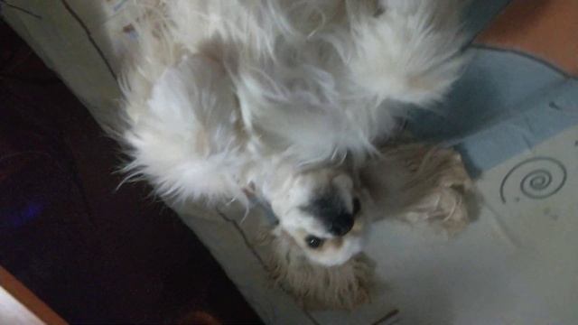 Дурачимся 🤗Лиза смотреть онлайн