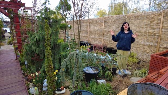 Такой южный сад вы еще не видели \ КРУТЫЕ НОВИНКИ \ Новая зона ОТДЫХА \ ЦВЕТУТ СОРТОВЫЕ МОРОЗНИКИ