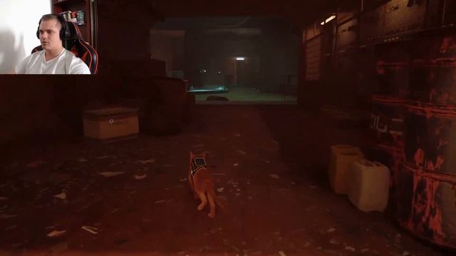 STRAY#6 /ЯДЕРНАЯ БАТАРЕЯ смотреть онлайн
