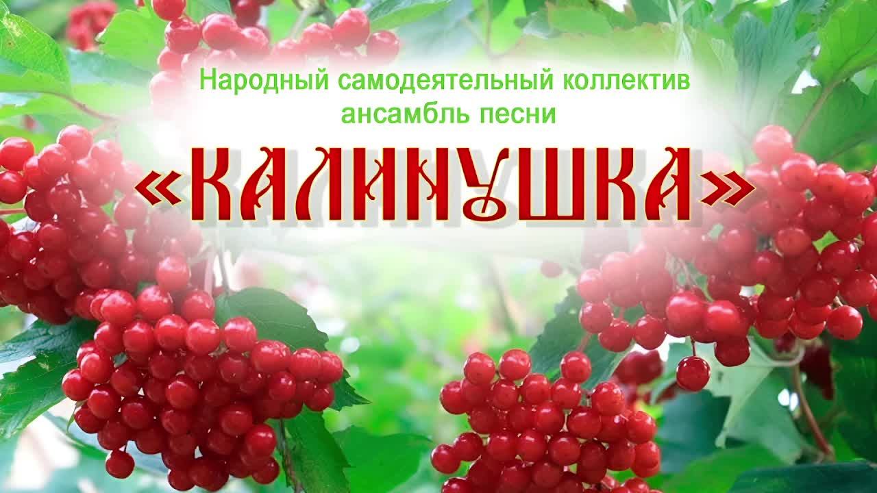 Концерт народного самодеятельного  ансамбля песни 