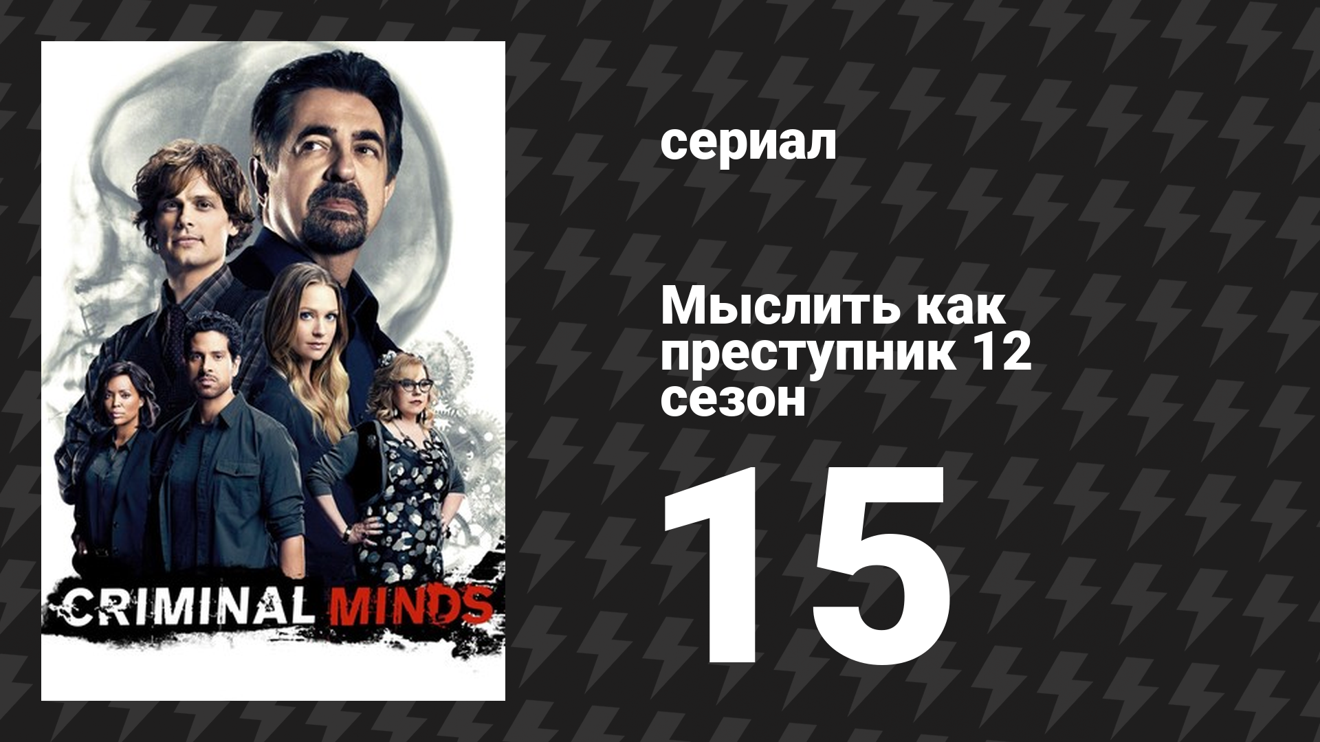 Мыслить как преступник 12 сезон 15 серия «Альфа-самец» (сериал, 2005-2020)