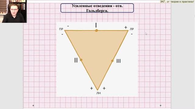 Лекция основы ЭКГ. смотреть онлайн