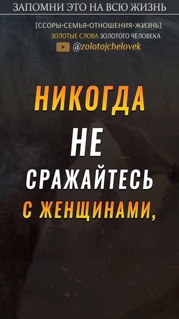 Никогда с Женщинами не сражайтесь смотреть онлайн