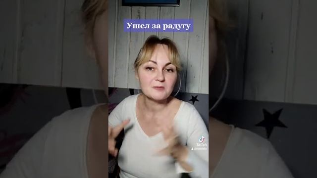 Мне плохо, он ушёл за радугу. смотреть онлайн