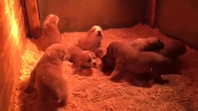 0 02 05 98b3f9ab173d62807c150427155bc6fb2bcb503d512ab1acc415243404f4670a 539e3d57 смотреть онлайн