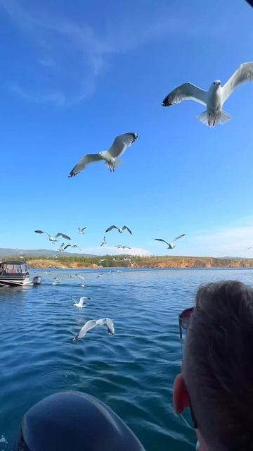 Байкал. Россия смотреть онлайн