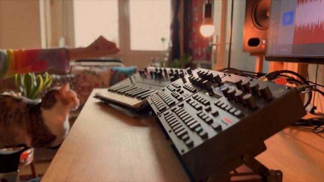 Korg Monologue ｜ Digitakt II ｜ Digitone II - Downtempo Origins