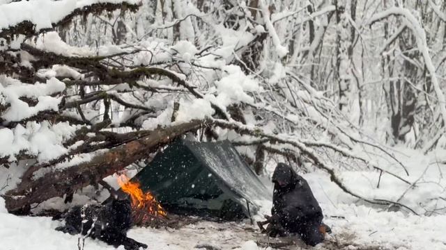 Ночевка в зимнем лесу