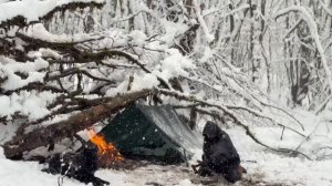 Ночевка в зимнем лесу