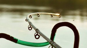 Наловил целое ведро! Весенняя раздача! рыбалка на фидер ранней весной