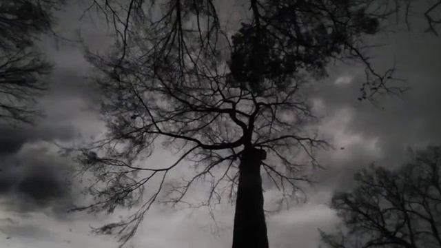 Angor Animi - Everlasting Lethargy