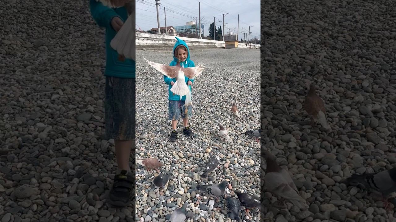 Чем можно кормить птиц? Познавательное видео для детей.