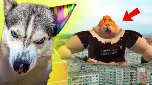 МЕГА ХОМЯЧОК САВЕЛИЙ ЕХЕ ИСПОРТИЛ МОЙ ДР!! Хаски Бандит Говорящая собака