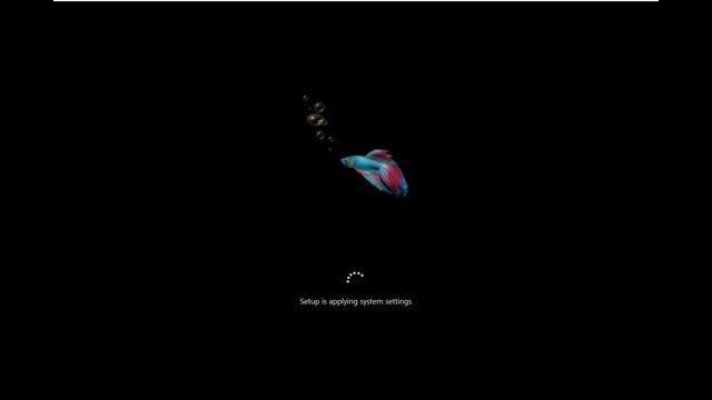 Windows 8 Build 8014泄露版？ смотреть онлайн