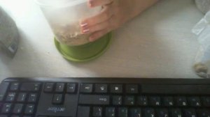 Как сделать корм для джунгарского хомяка