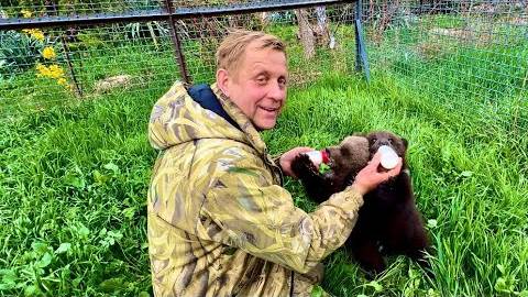 Олег Зубков помог мне кормить медвежат Топу и Кнопу, они просто СНОСЯТ с НОГ))) смотреть онлайн