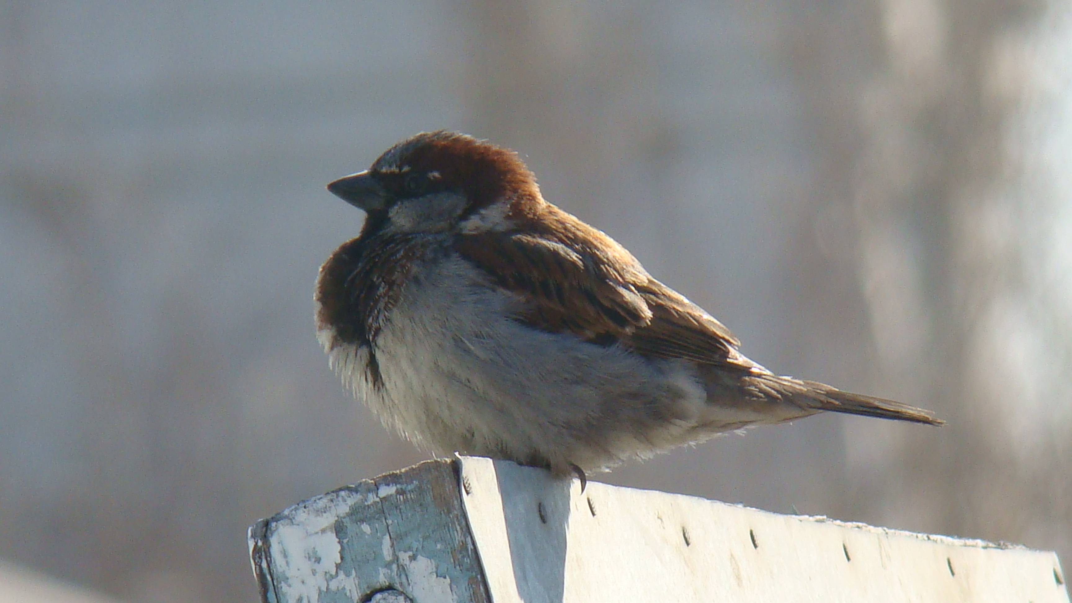 Орлята учатся летать, Добрались до 30-ки